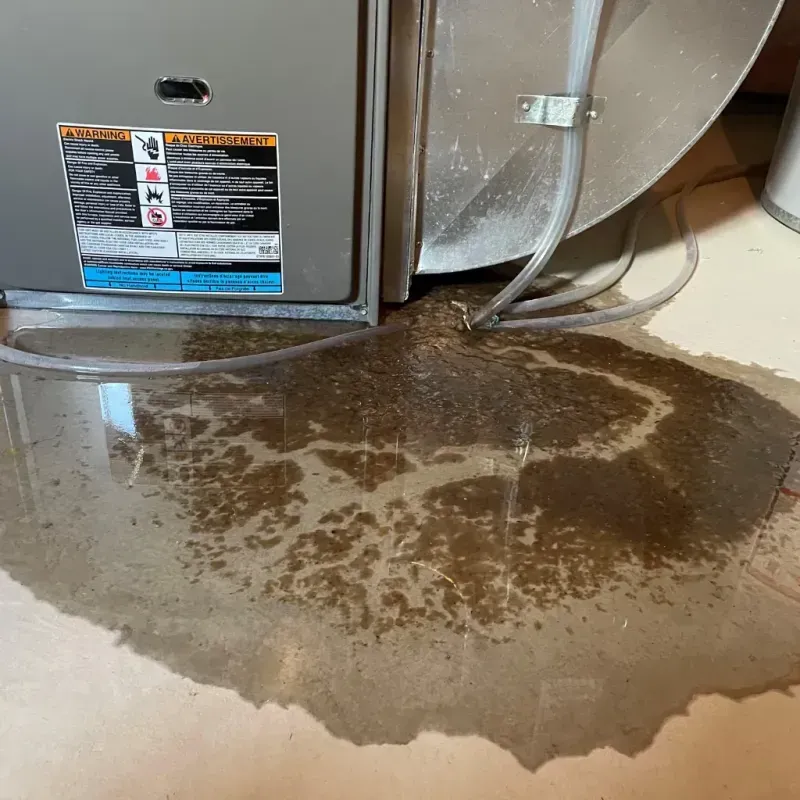 Appliance Leak Cleanup in Bristol, IN